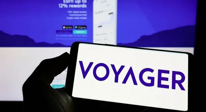 Директор брокера Voyager избавился от акций фирмы до банкротства