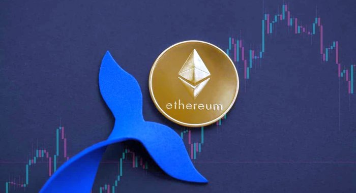 Криптокит, хранящий ETH с 2019 года, раскидал по кошелькам 145000 ETH