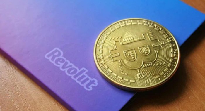 За месяц база платформы Revolut «Учись и зарабатывай» достигла 1,5 млн