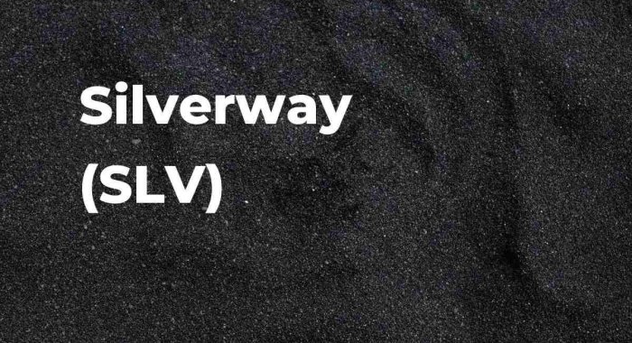 Токен Silverway стал новым любимцем ETH-китов вместо Shiba Inu