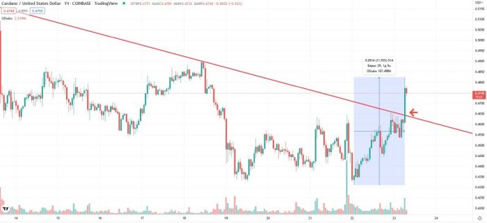 ada-pump-post-vasil