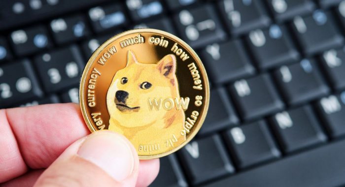 Режиссёр Карл Ринш в семь раз приумножил капитал, купив Dogecoin