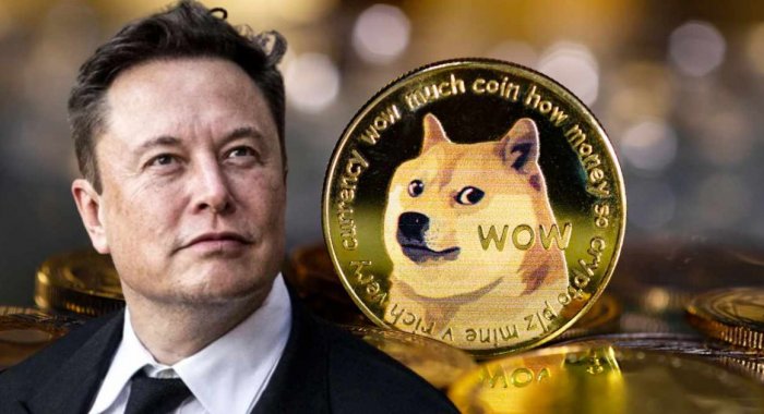 Инвесторы в Dogecoin отозвали коллективный иск против Илона Маска
