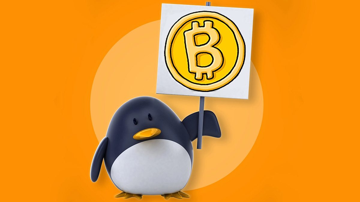 coinmag