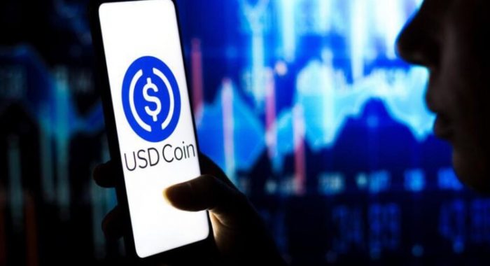 Circle выпустит стейблкоины USD Coin на пяти блокчейнах