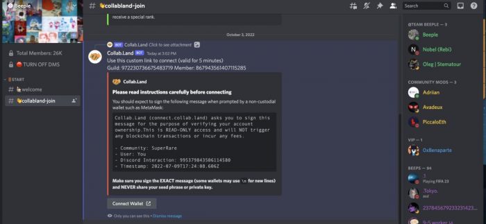 beeple-discord-server-post