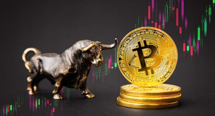 М. Новограц: курс биткоина достигнет $30 000 в первом квартале