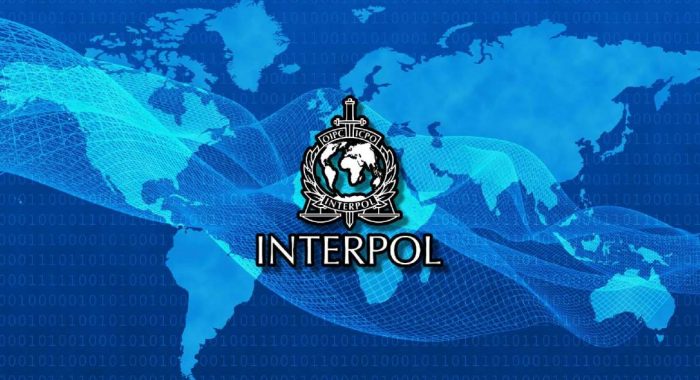 Интерпол создал метавселенную для борьбы с преступностью