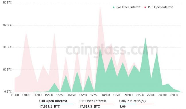 btc-options-november-18