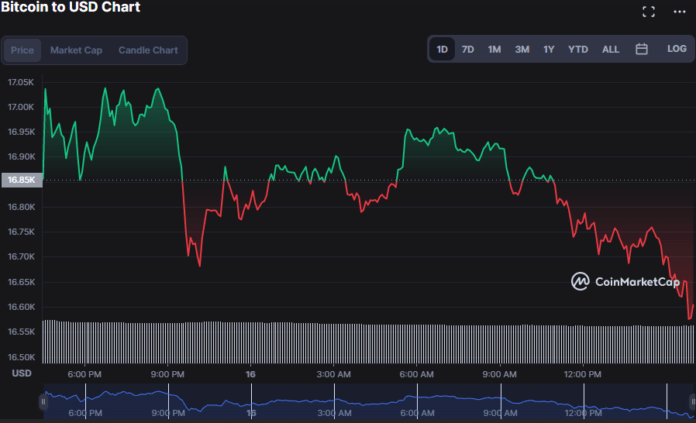 BTC-USD-696x423