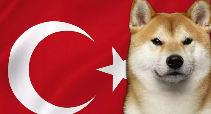 Объёмы торгов Dogecoin в Турции превысили цифры по биткоину и эфиру
