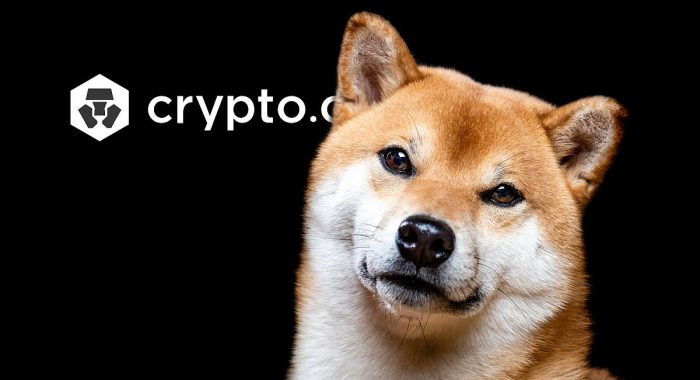 Согласно, аудиту Shiba Inu — второй по величине резервный актив Crypto.com