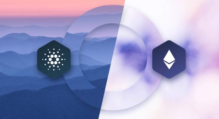 Блокчейн Cardano в восемь раз децентрализованнее сети Ethereum