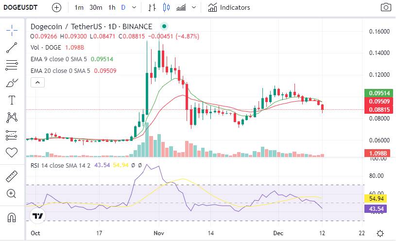 doge-price