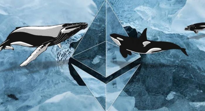 Киты инвестируют в эфириум миллиарды, пока на рынке царит затишье