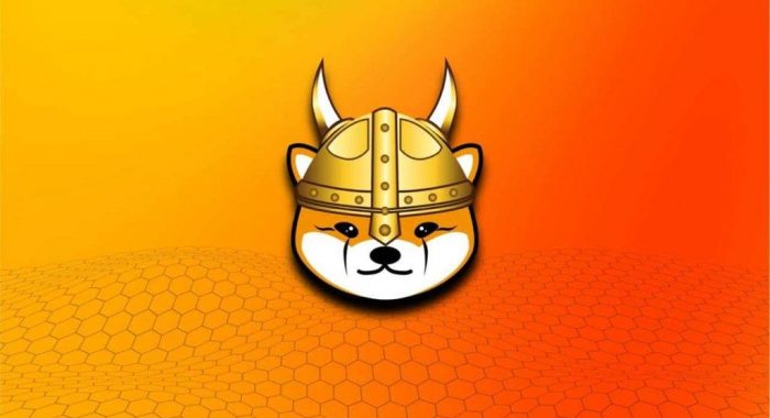 Алгоритм машинного обучения спрогнозировал цену FLOKI на 31 декабря