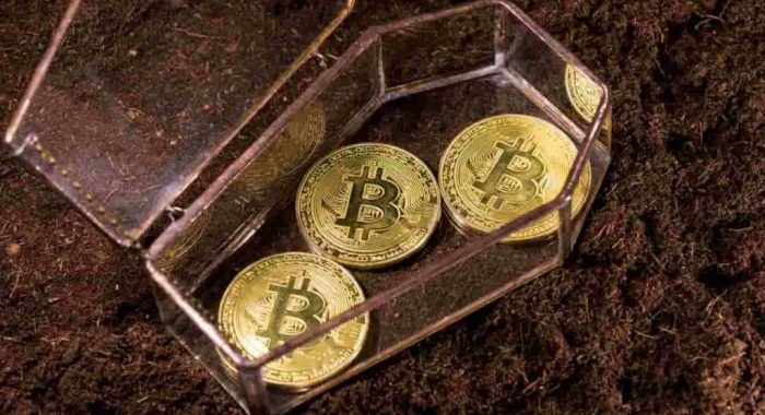 В треть «умерших» в 2022 году криптопроектов были вложены $3,5 млрд