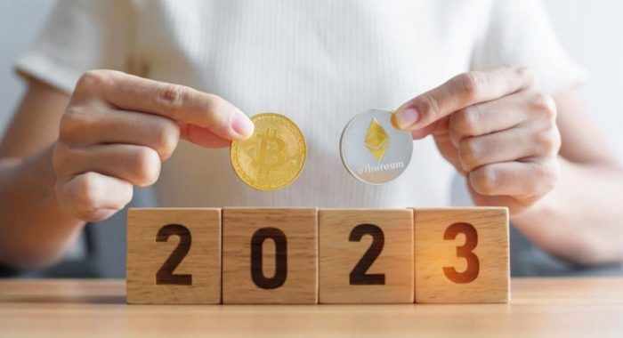 В 2023 году число владельцев криптовалют может повыситься до 800 млн