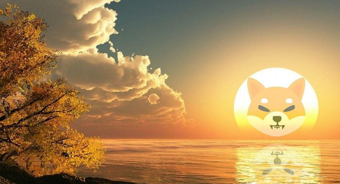 Новая VIP-соцсеть SHIB будет интегрирована с Shibarium и метавселенной