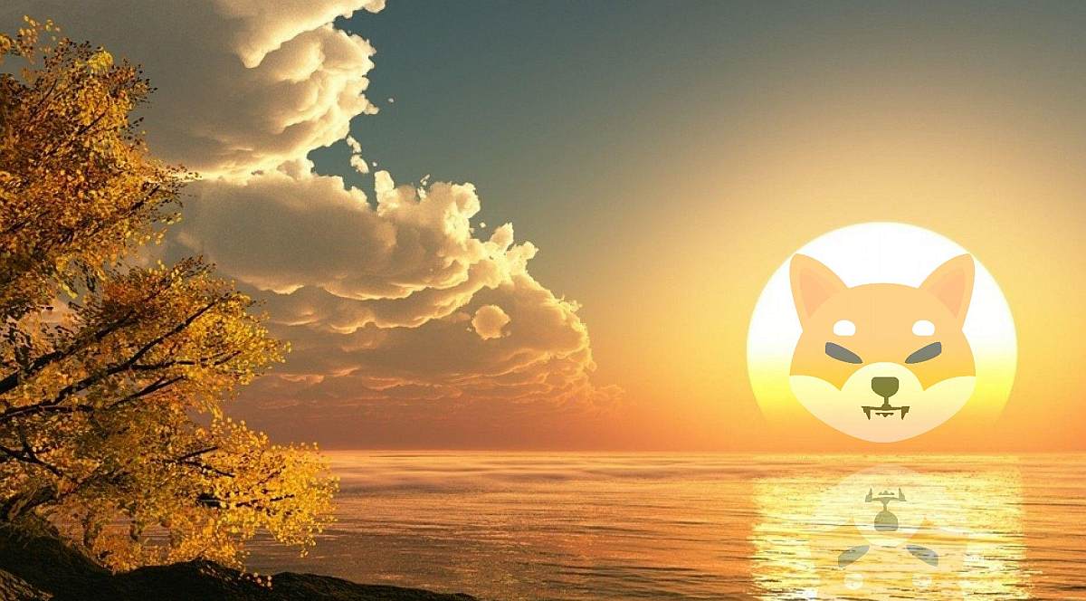 coinmag