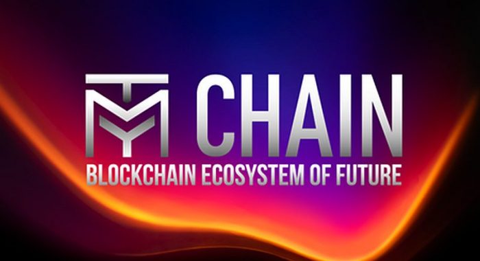 Гибридный блокчейн TMY Chain совместим с платформой Сбера