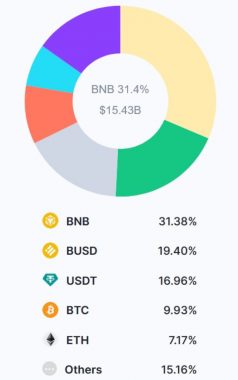binance-token-allocation