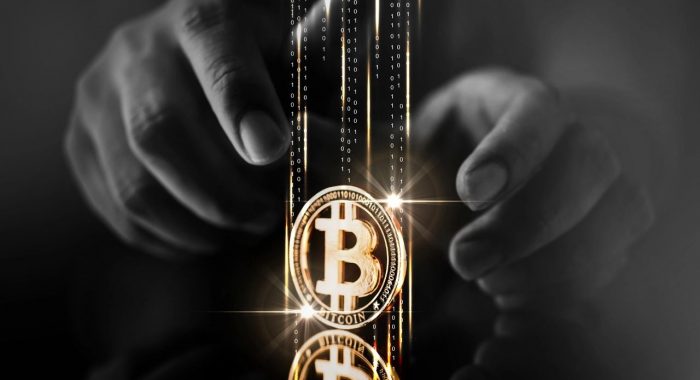 Santiment: доля некитовых биткоин-адресов увеличилась до 41%