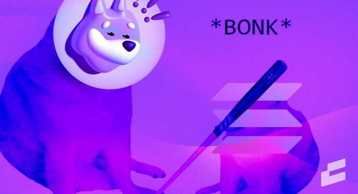 Новая монета-мем Bonk Inu (BONK) — аналог Dogecoin на Solana