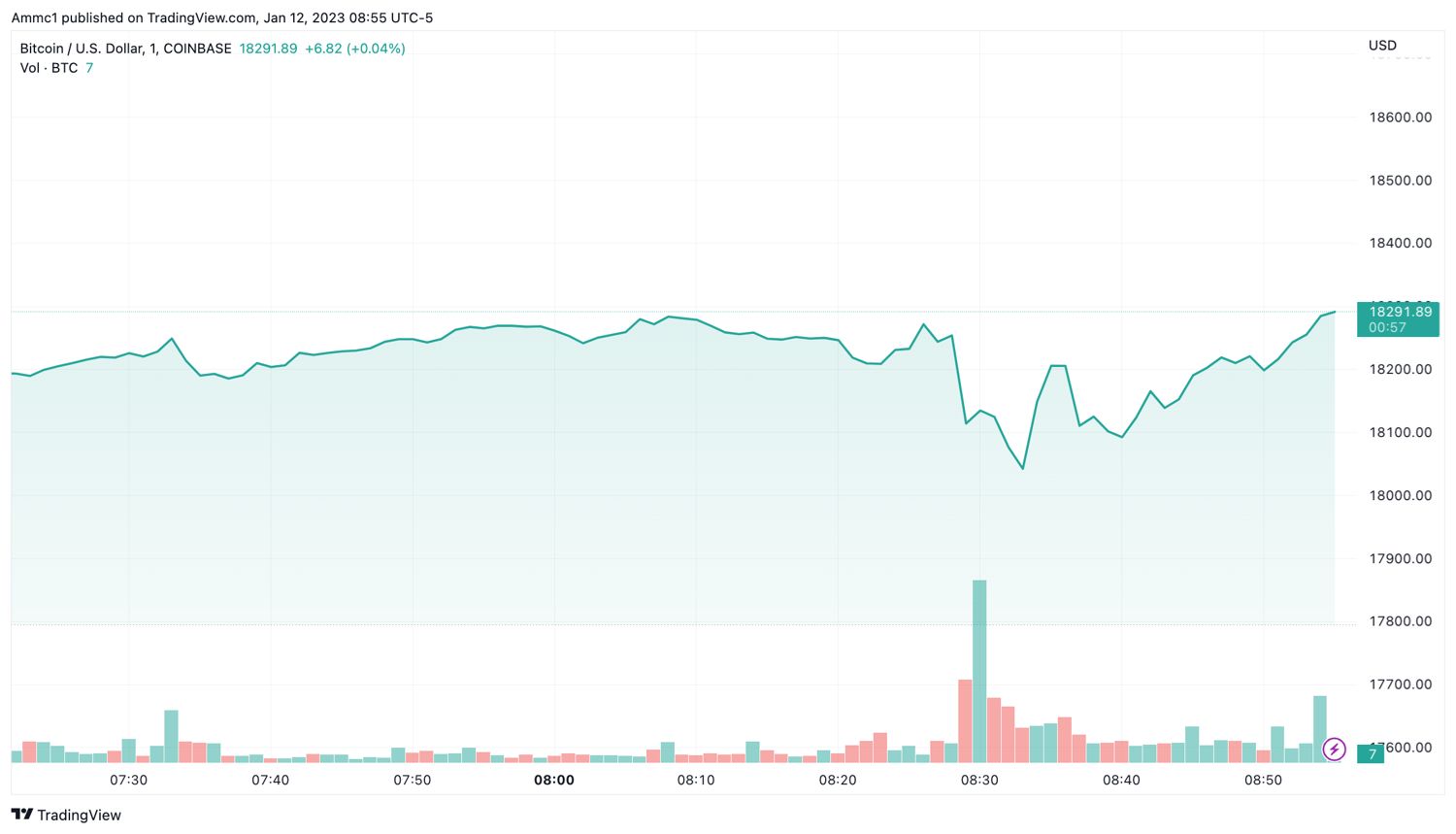 BTCUSD_2023-01-12_13-55-04