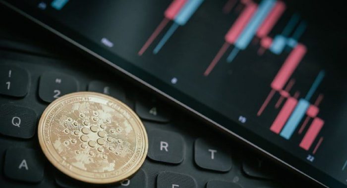 Дневной объём транзакций в сети Cardano повысился на 200%