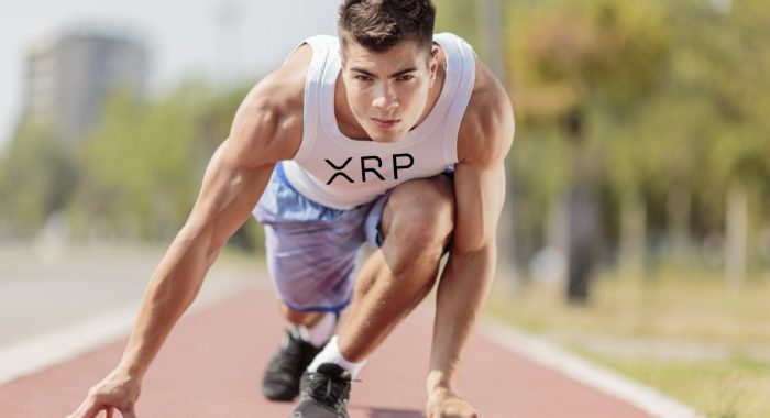 XRP готовится к крупнейшему прорыву в истории криптовалют