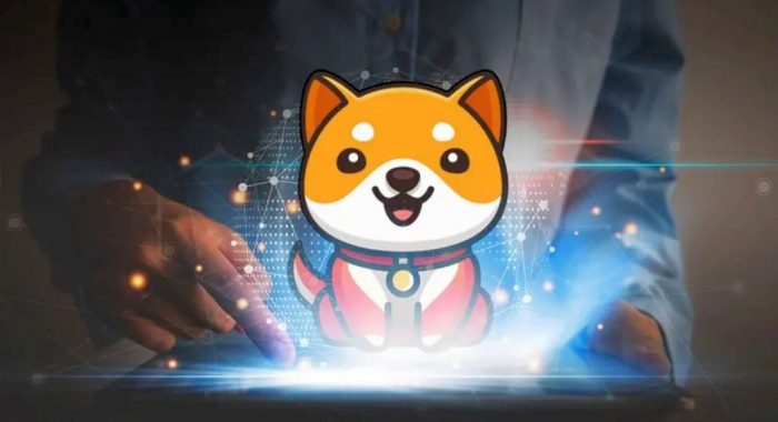 Baby Doge Coin обошёл BTC, ETH и XRP и стал крупнейшей криптовалютой на CoinMarketCap