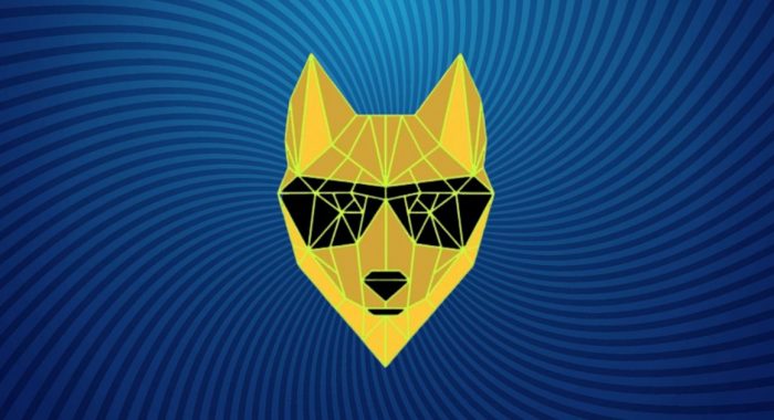 Криптовалюта-мем Dingo Token оказалась мошенническим проектом