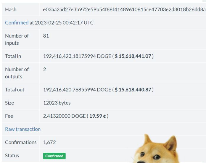 doge-2-1-696x551