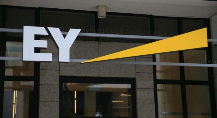 Ernst & Young добавил Dogecoin в новую версию анализатора блокчейна