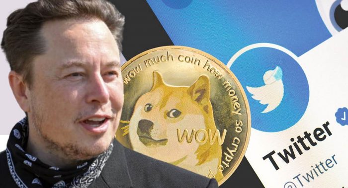 Илон Маск заявил, что не имеет Dogecoin и не причастен к манипуляциям