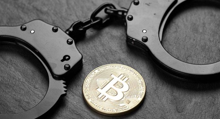 Следствие по делу криптопредпринимательницы «Битмама» завершилось