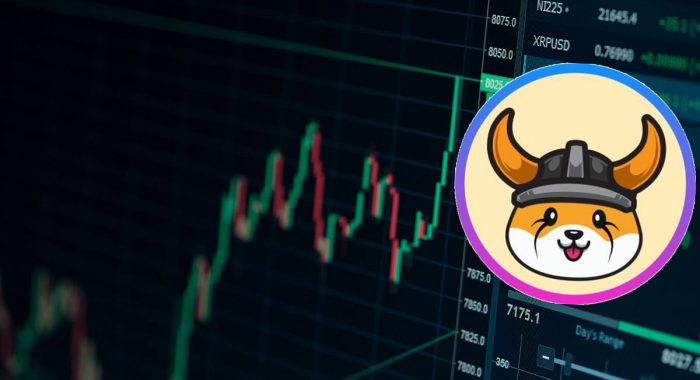 После листинга на Binance.US цена Floki Inu (FLOKI) поднялась на 50%