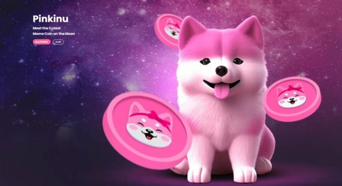Скоро начнётся предпродажа первой женской криптовалюты Pinkinu