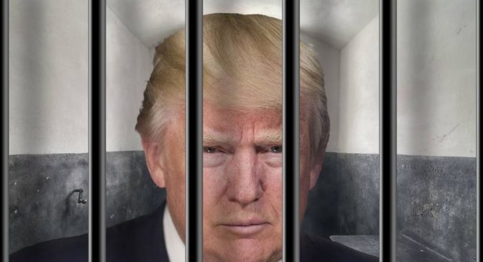Спрос на NFT после ареста Дональда Трампа вырос на 170%