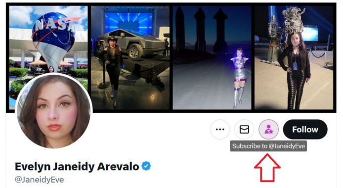 twitter-subscribe