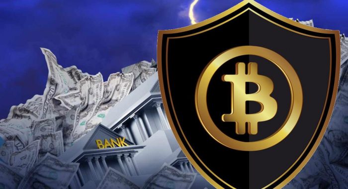 CEO Validus Power: биткоин даёт страховку от краха фиатной пирамиды