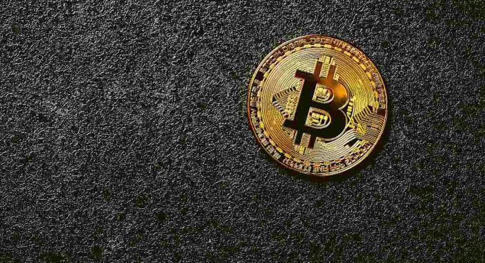 Число владельцев криптовалют по всему миру достигло 562 млн человек