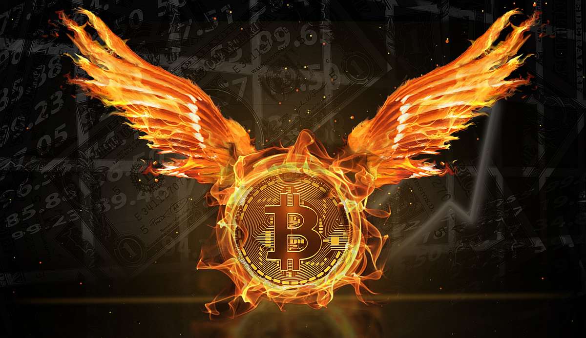 coinmag