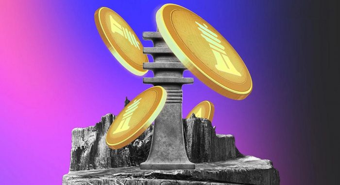 Стейблкоин в сети Cardano DJED будет представлен в нескольких сетях