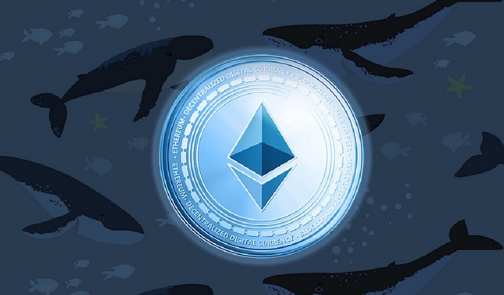 coinmag