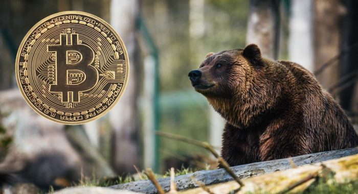 Аналитик Bloomberg предрекает крах курса биткоина до $ 7366