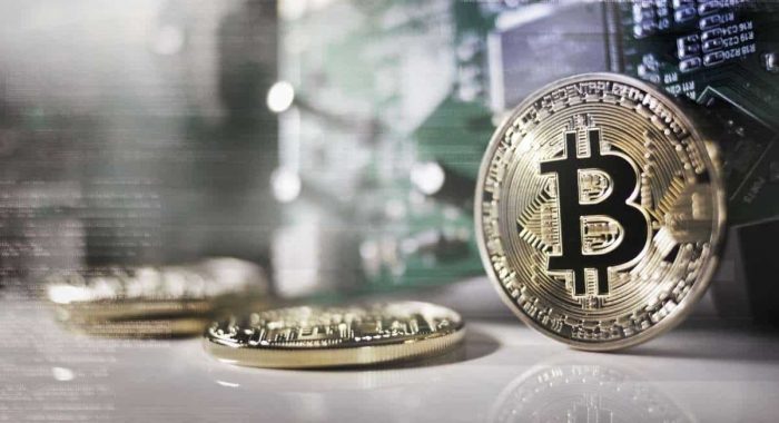 Спад на крипторынке не привёл к продажам краткосрочных инвесторов