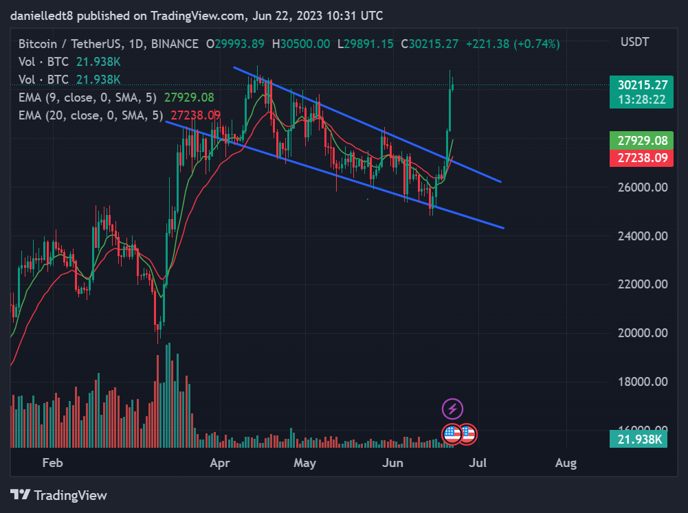 BTC-1-3