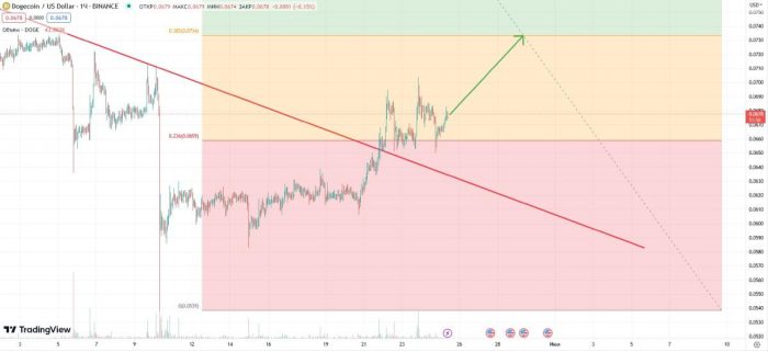 doge-price-rise-june